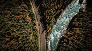 Aerial Forest Road Along River