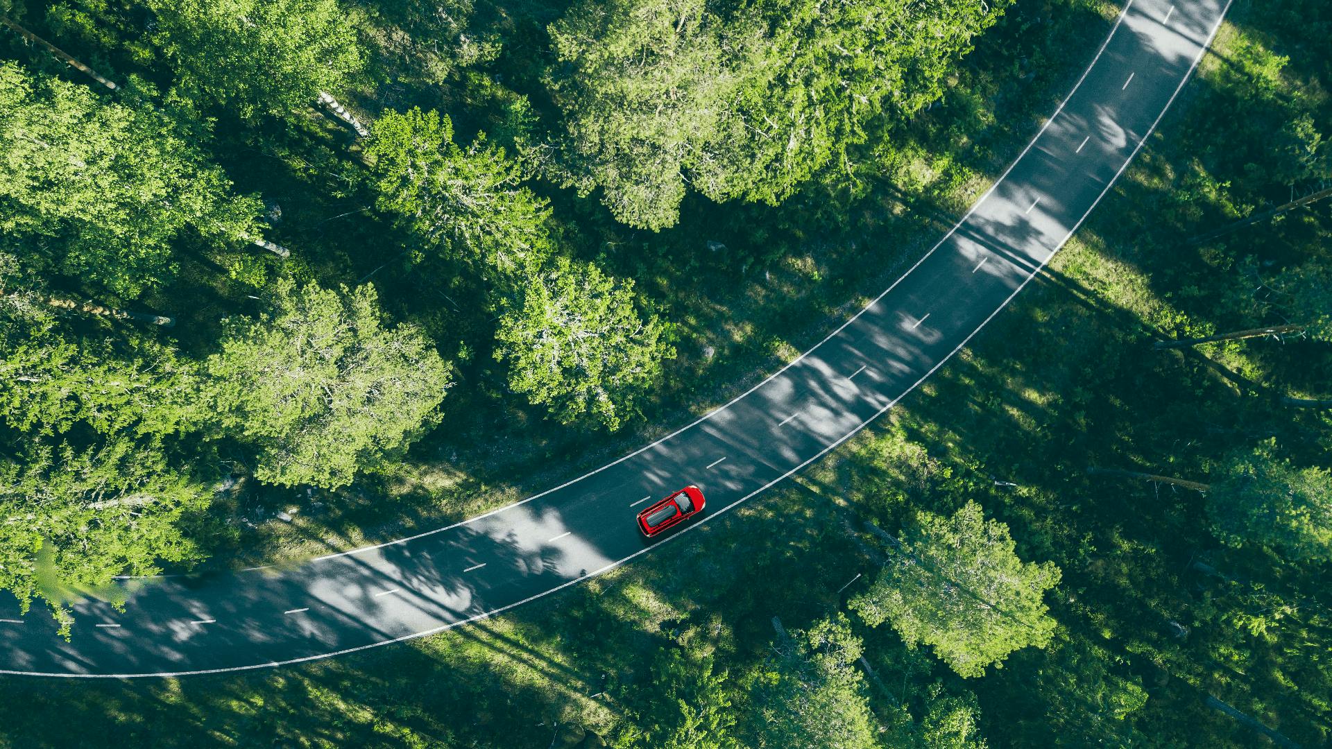 Red car driving through forest
